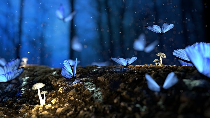 Magical Fairytales